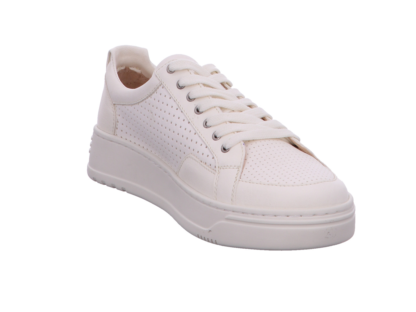 werner_amsel_785_51_6103