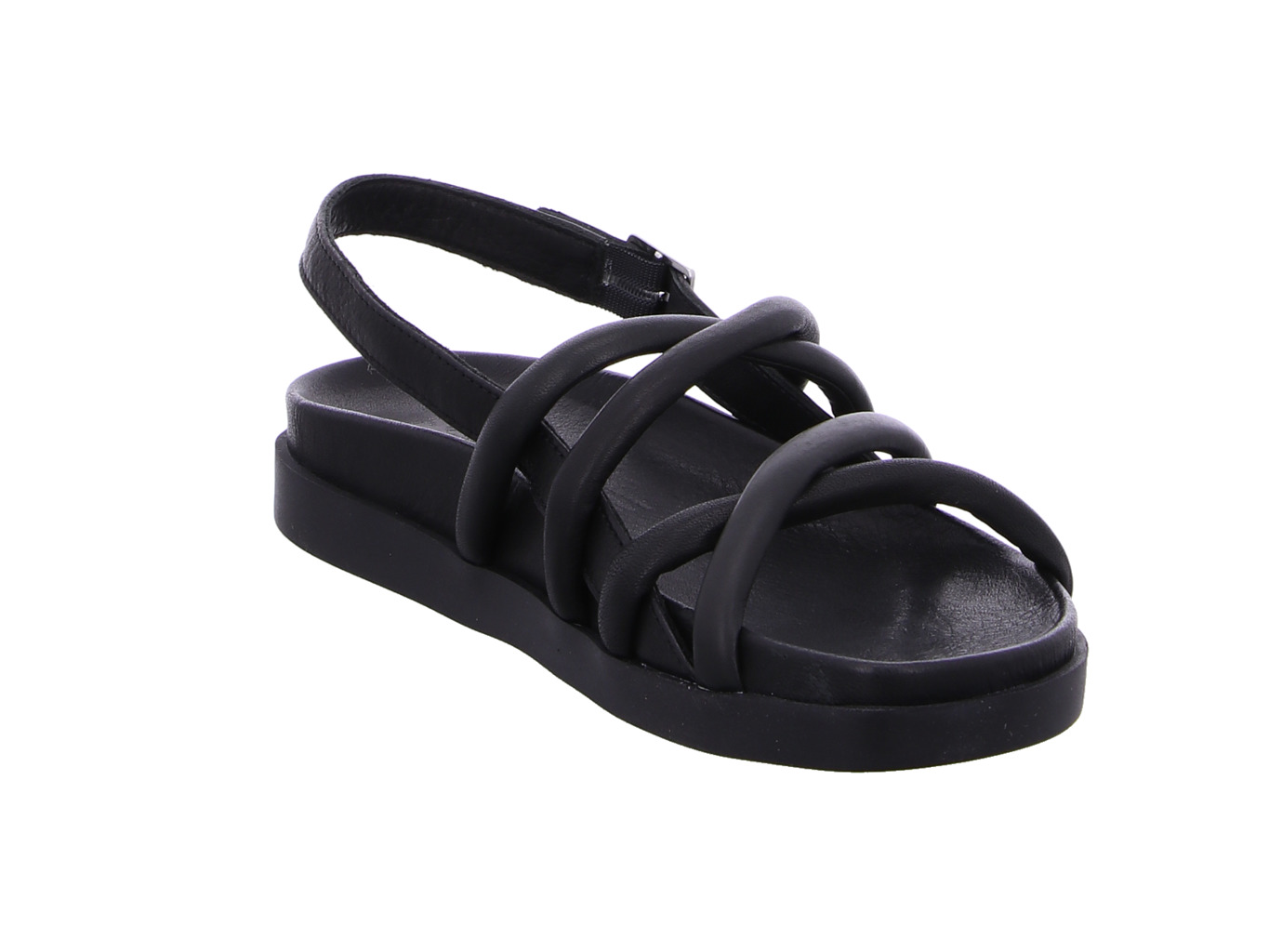 werner_liguster_638_04_schwarz_6104