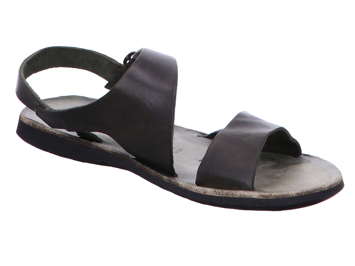 brador_sandy_34776_oliva_4131