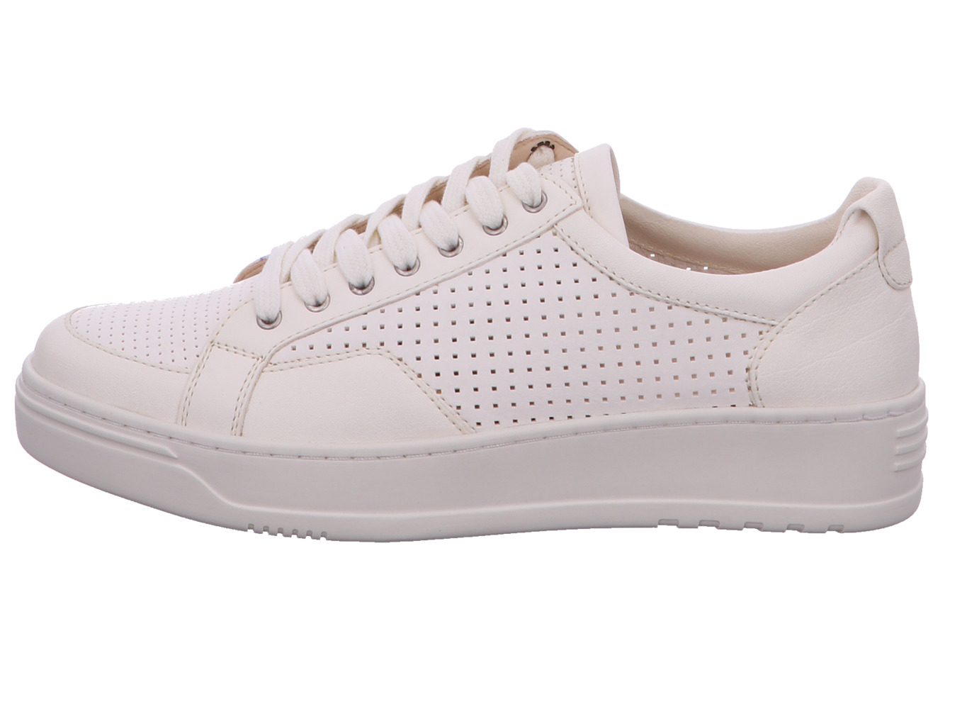 werner_amsel_785_51_3142