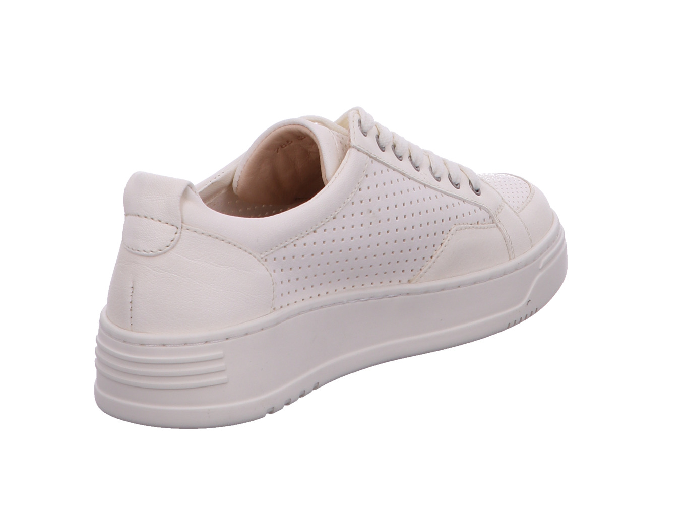 werner_amsel_785_51_2111