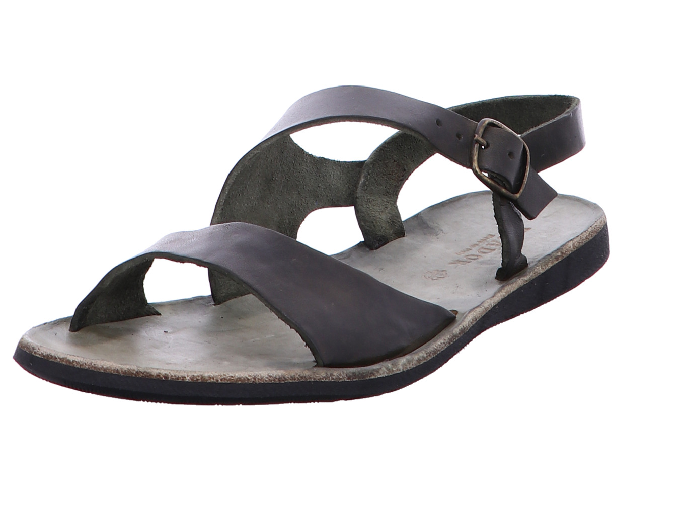 brador_sandy_34776_oliva_1155