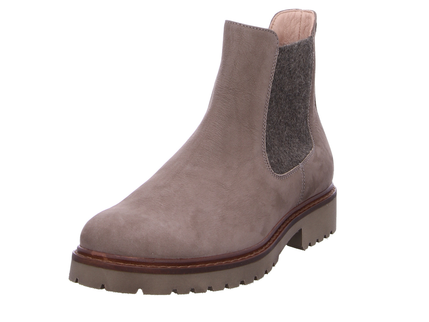 werner_t_pfelhy_ne_263_07_1162