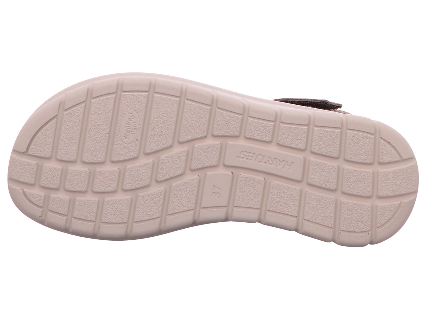 hartjes_calypso_1321801437777_437777_6167