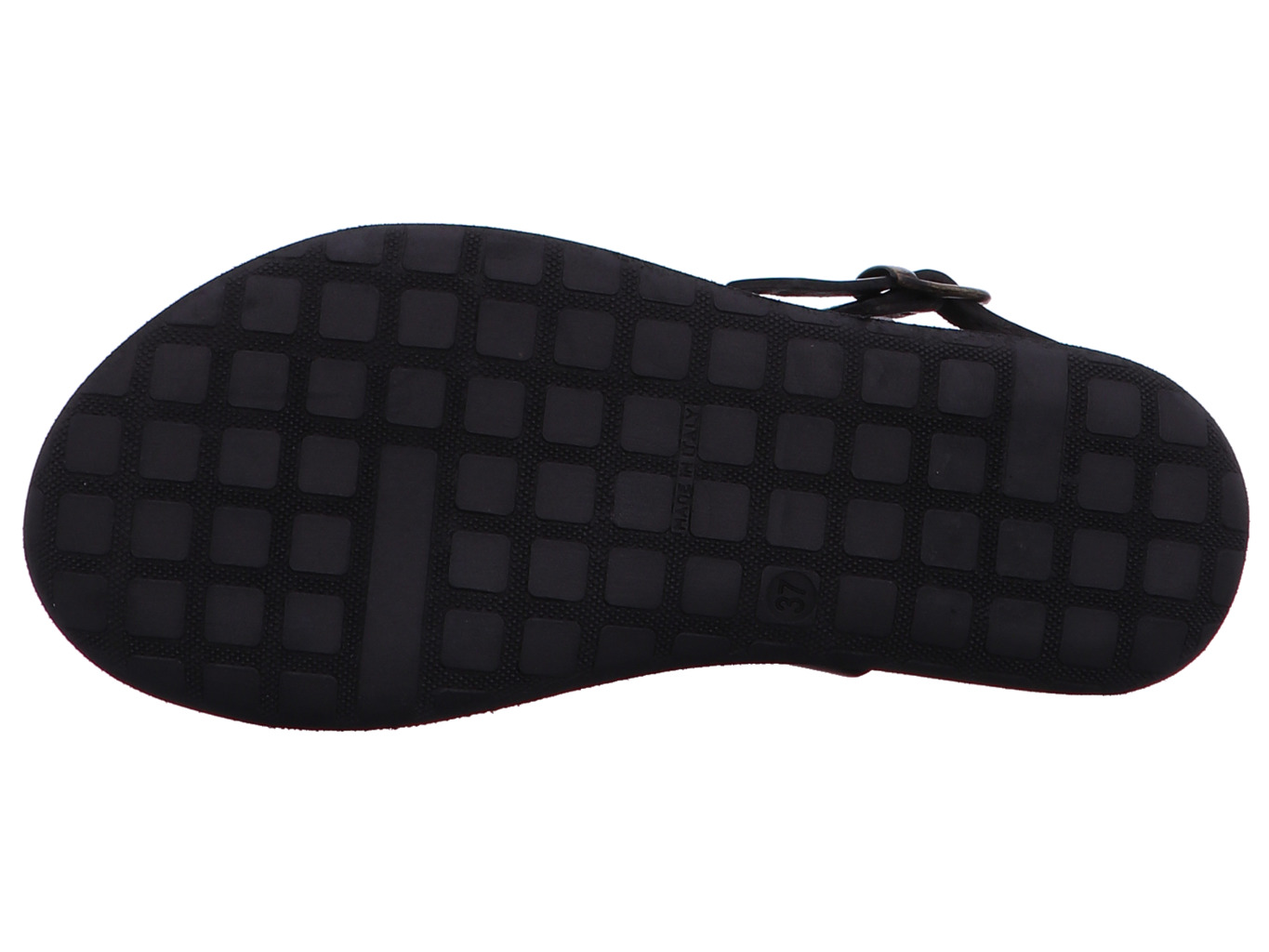 brador_laila_34723_t_moro_6131