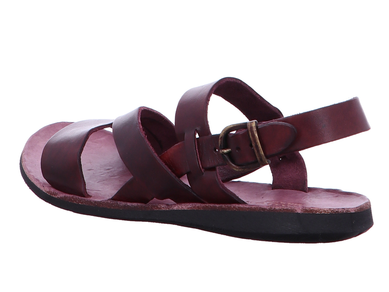 brador_strips_34556_vinaccia_2147