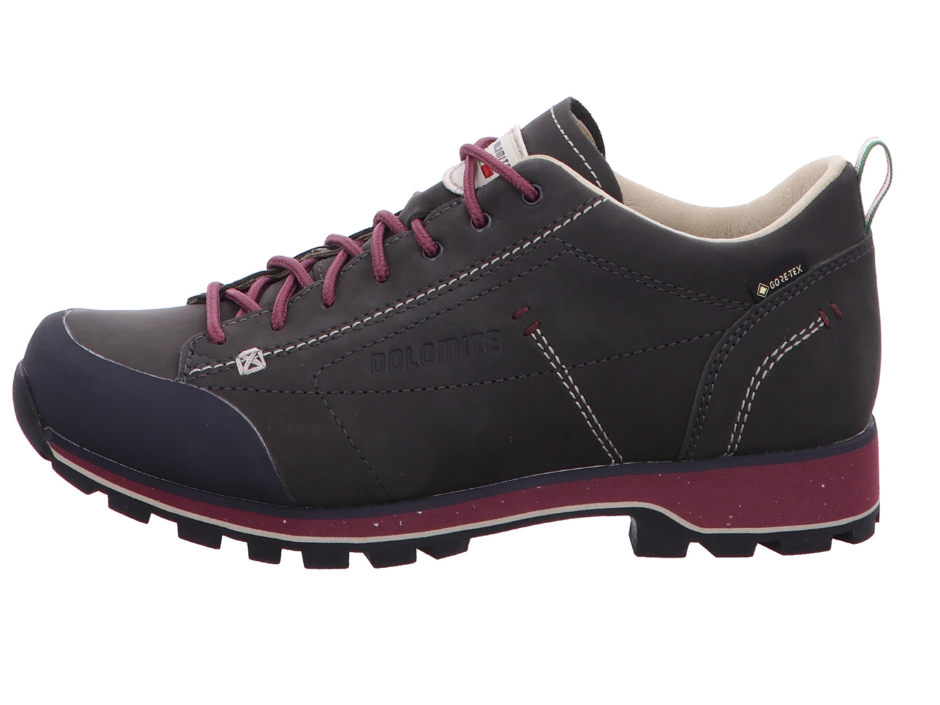 Dolomite Dolomite Dol Shoe Ws 54 Low Fg Evo GTX Sneaker für Damen