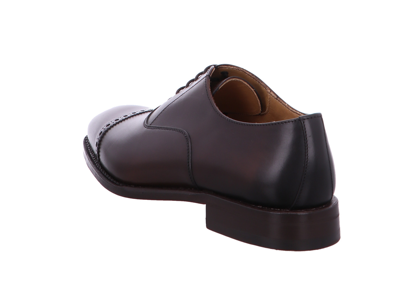 berwick_nomera_5466_n15_5921