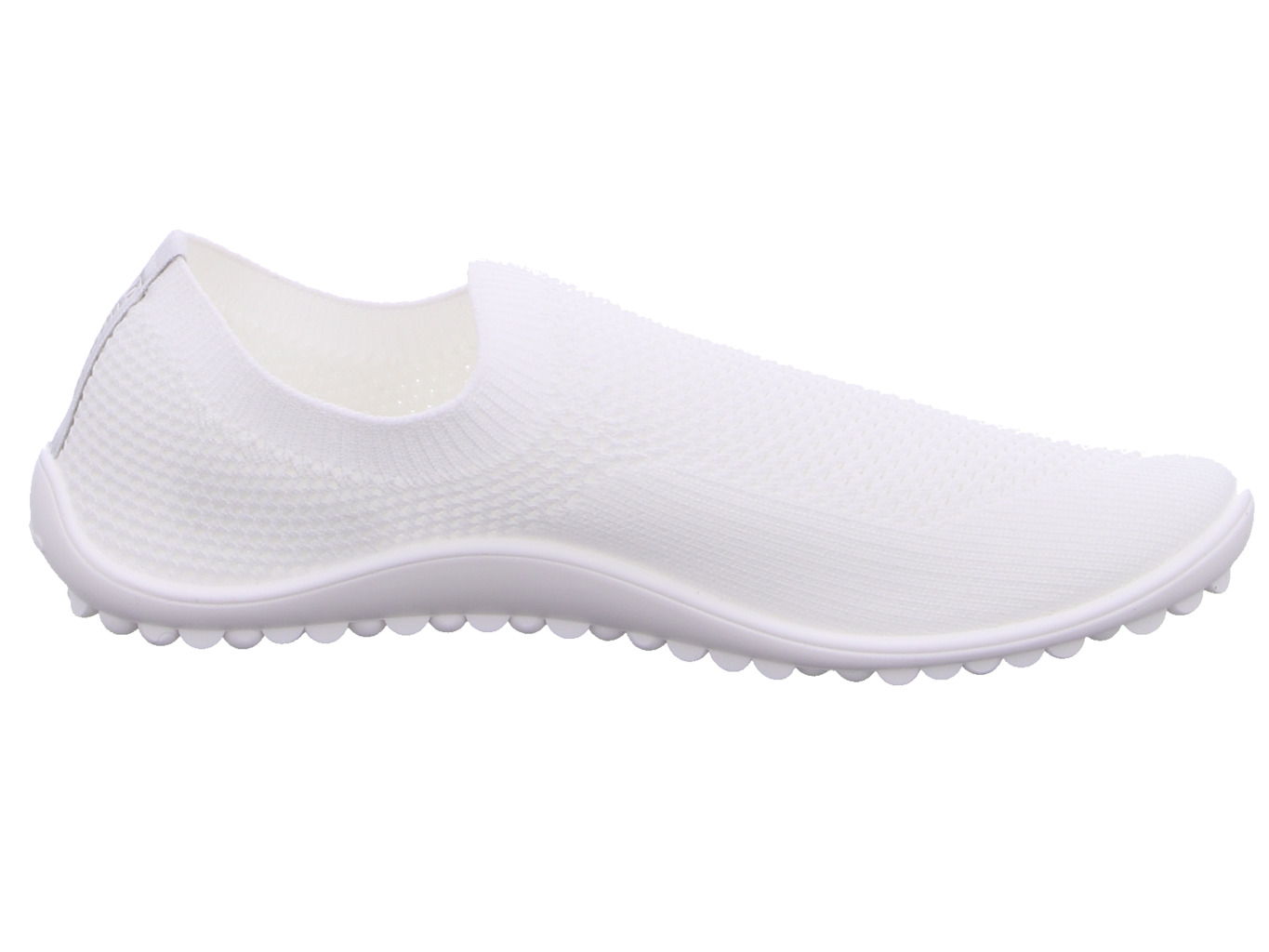 leguano_scio_scio_white_4962