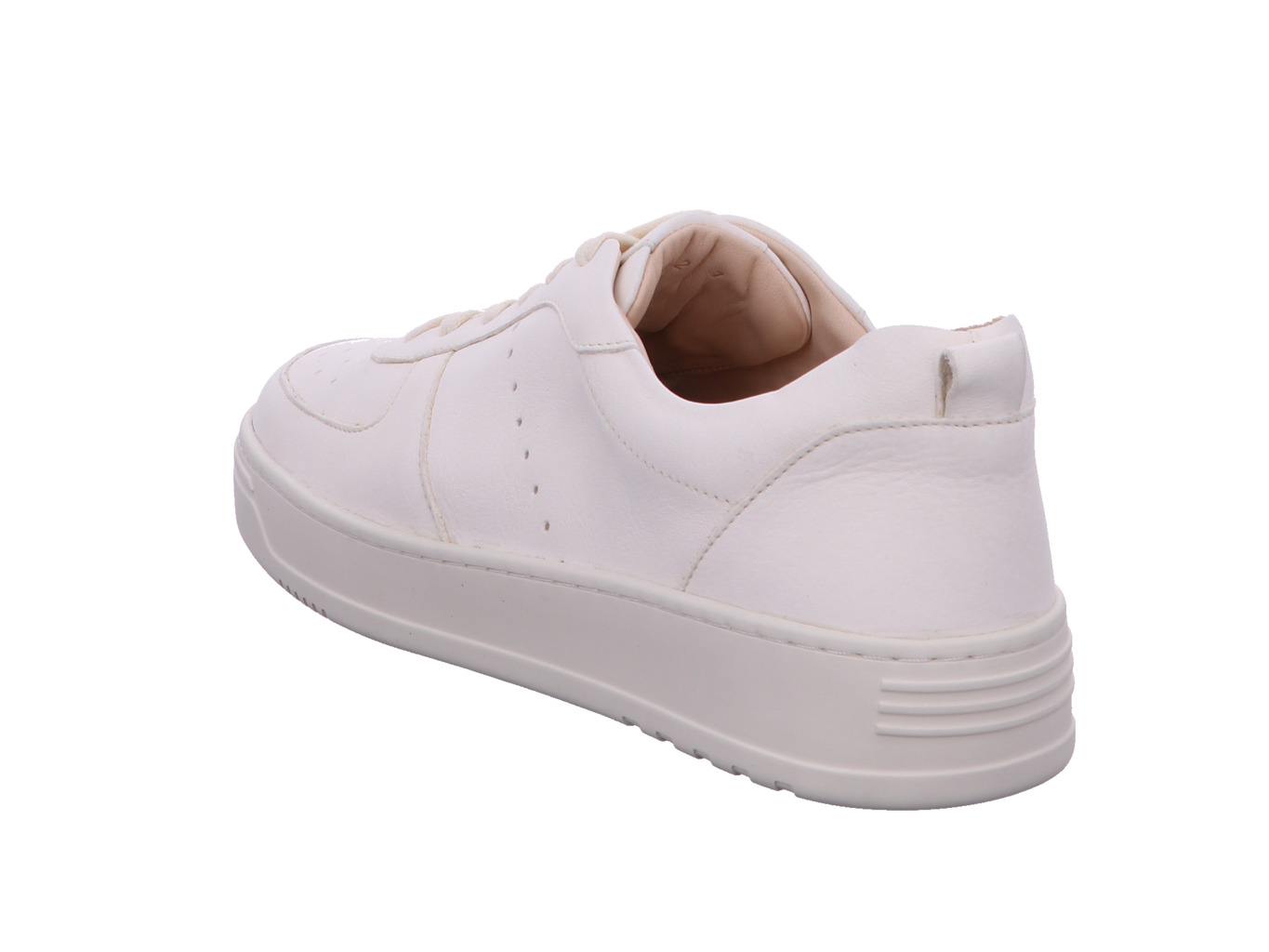 werner_habicht_143_51_5920