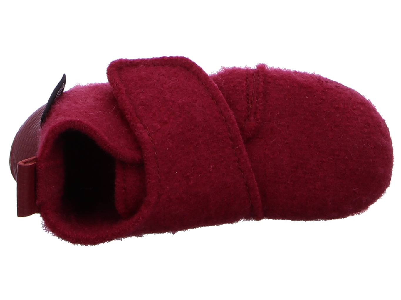 haflinger_everest_bello_481070_60_7175