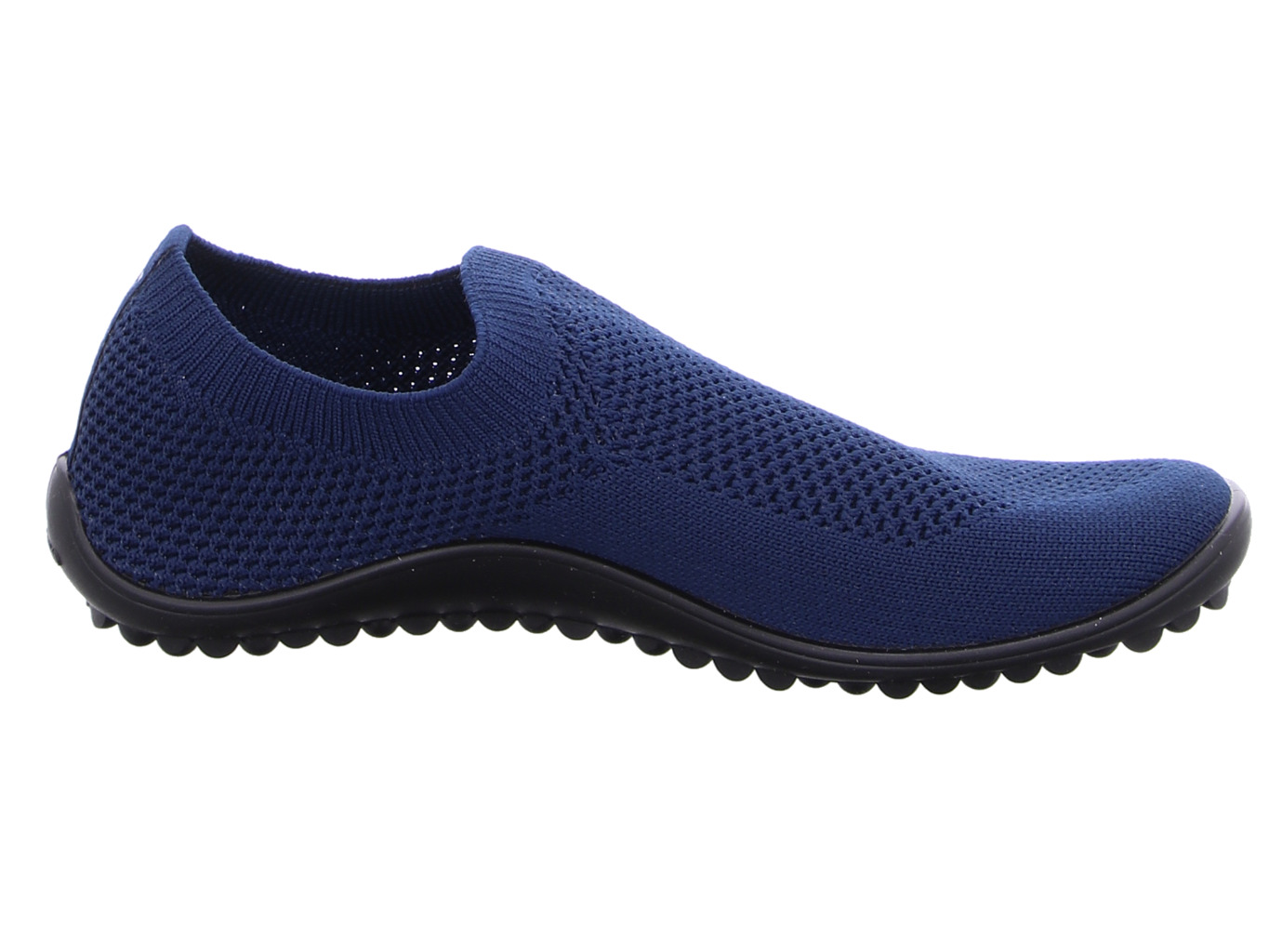 leguano_scio_scio_blue_4181