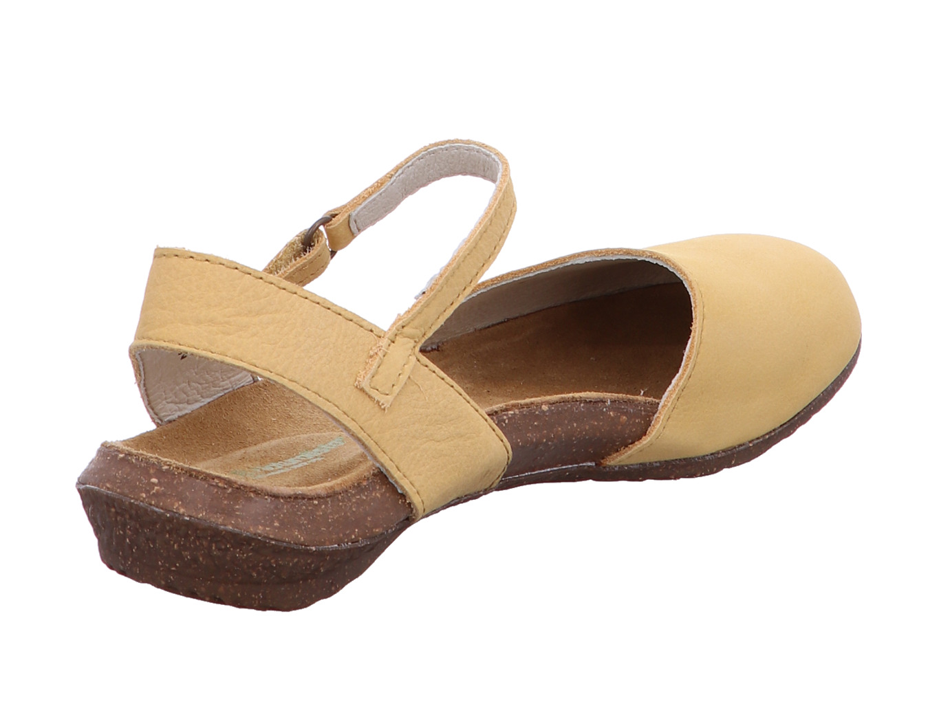 el_naturalista_wakataua_n412_honey_3168