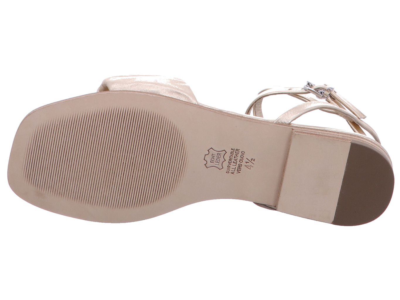 kennel_schmenger_holly_31_93610_219_8190