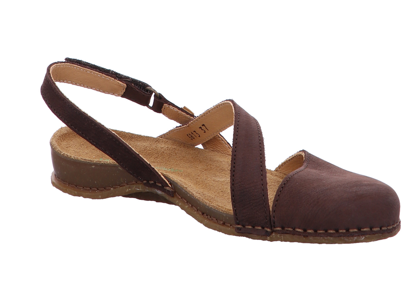 el_naturalista_panglao_n5813_brown_4161