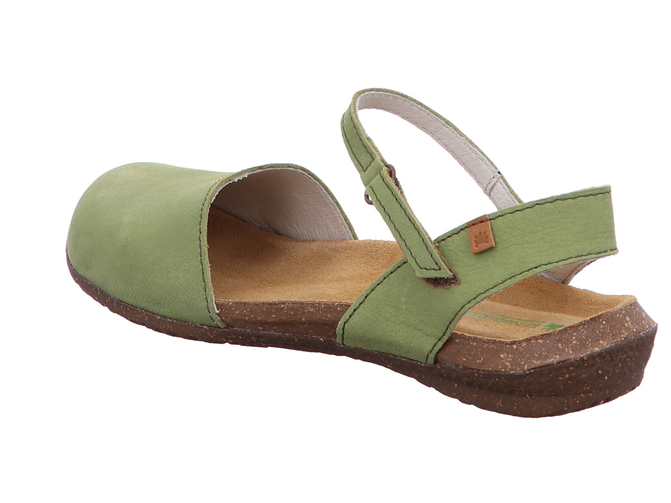 el_naturalista_wakataua_n412_liken_2180