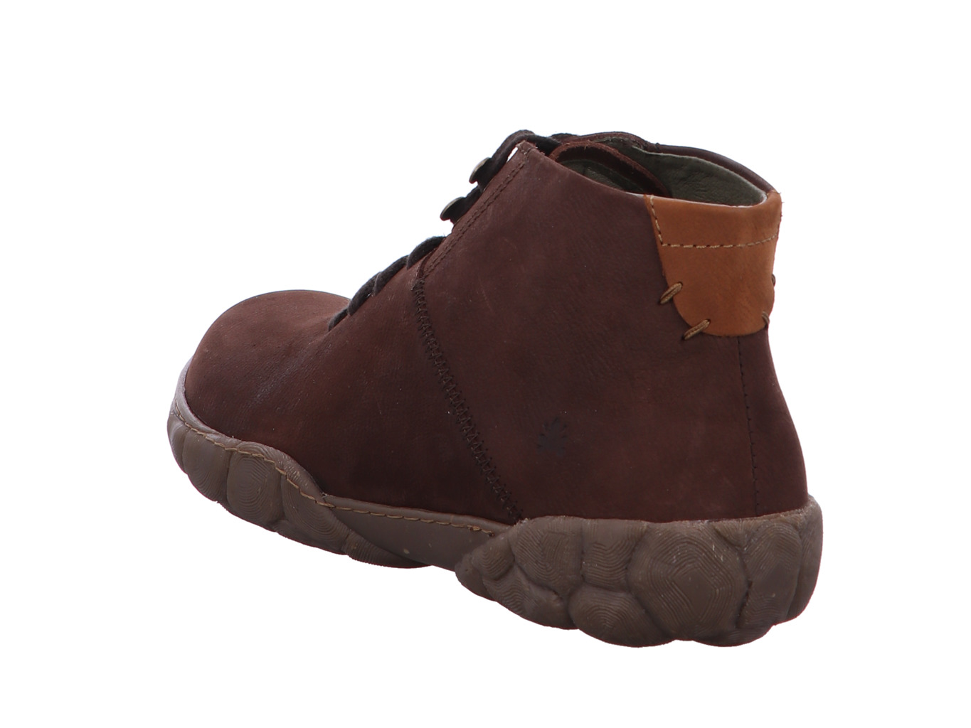 el_naturalista_turtle_n5083_pleasant_brown_5128