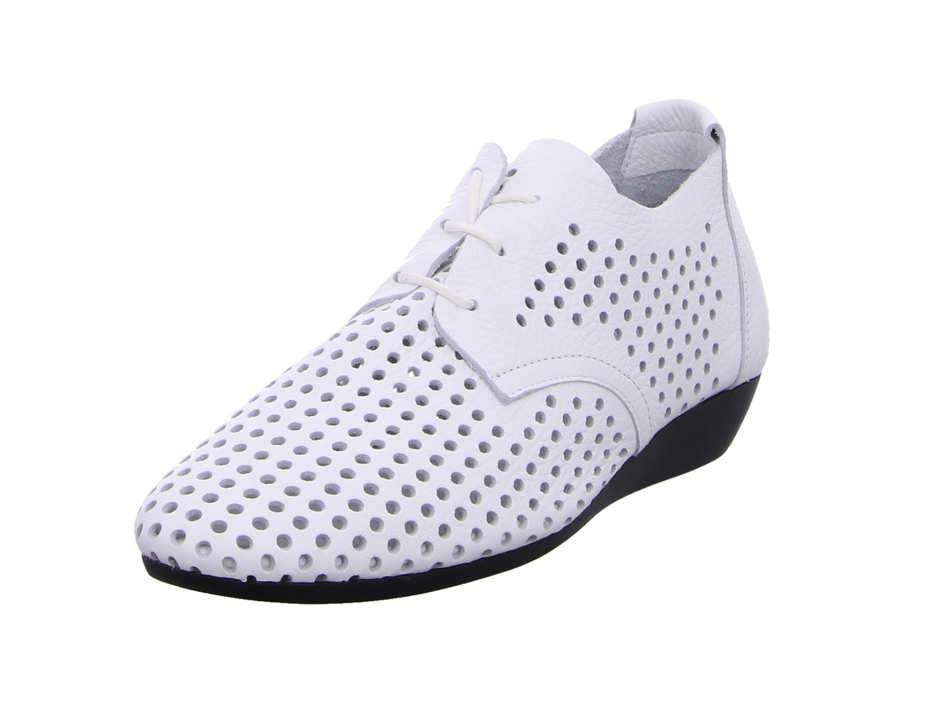 Arche Onymhi arche_onymhi_onymhi_blanc_1137