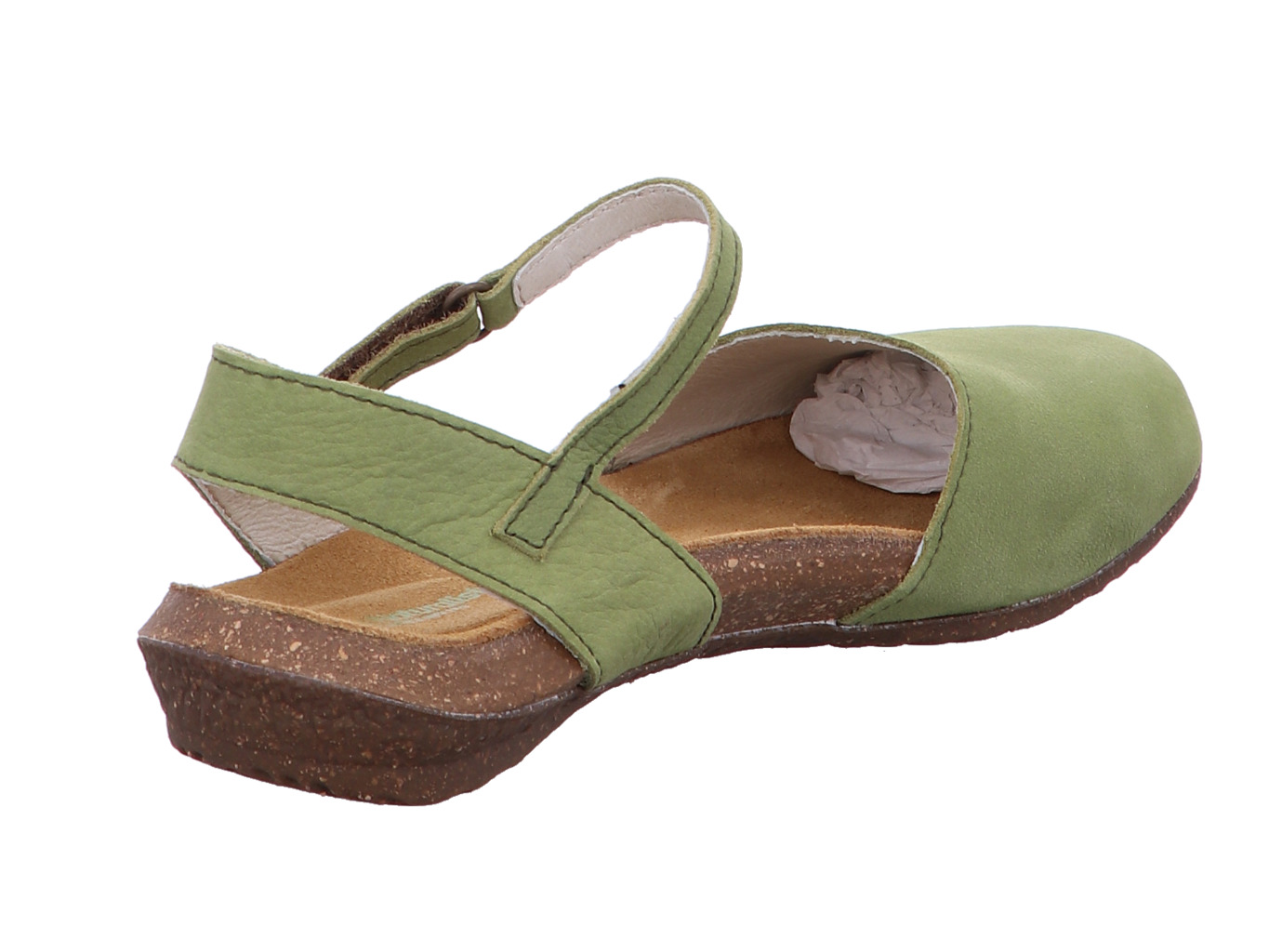 el_naturalista_wakataua_n412_liken_3175