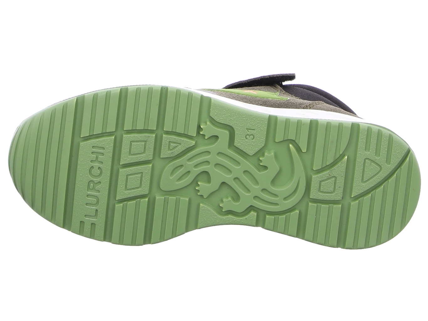 lurchi_cono_tex_33_19310_26_26_8183