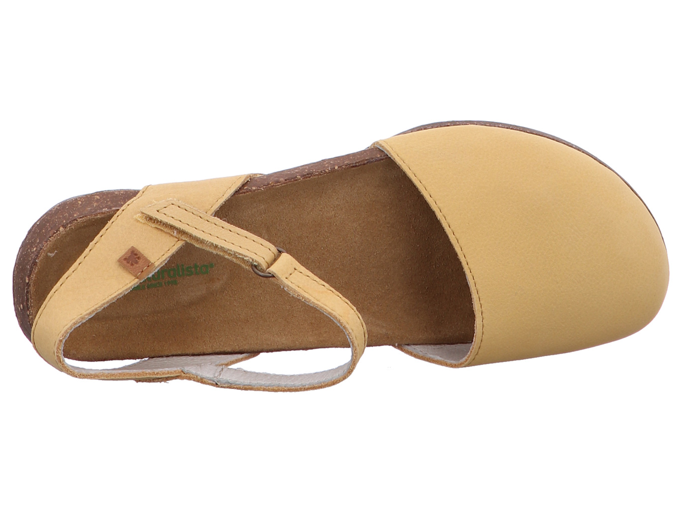 el_naturalista_wakataua_n412_honey_5192