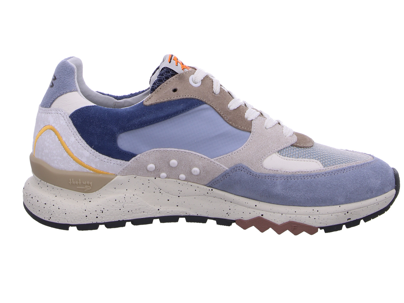 floris_van_bommel_de_treener_06_07_sfm_10243_42_02_4_4207