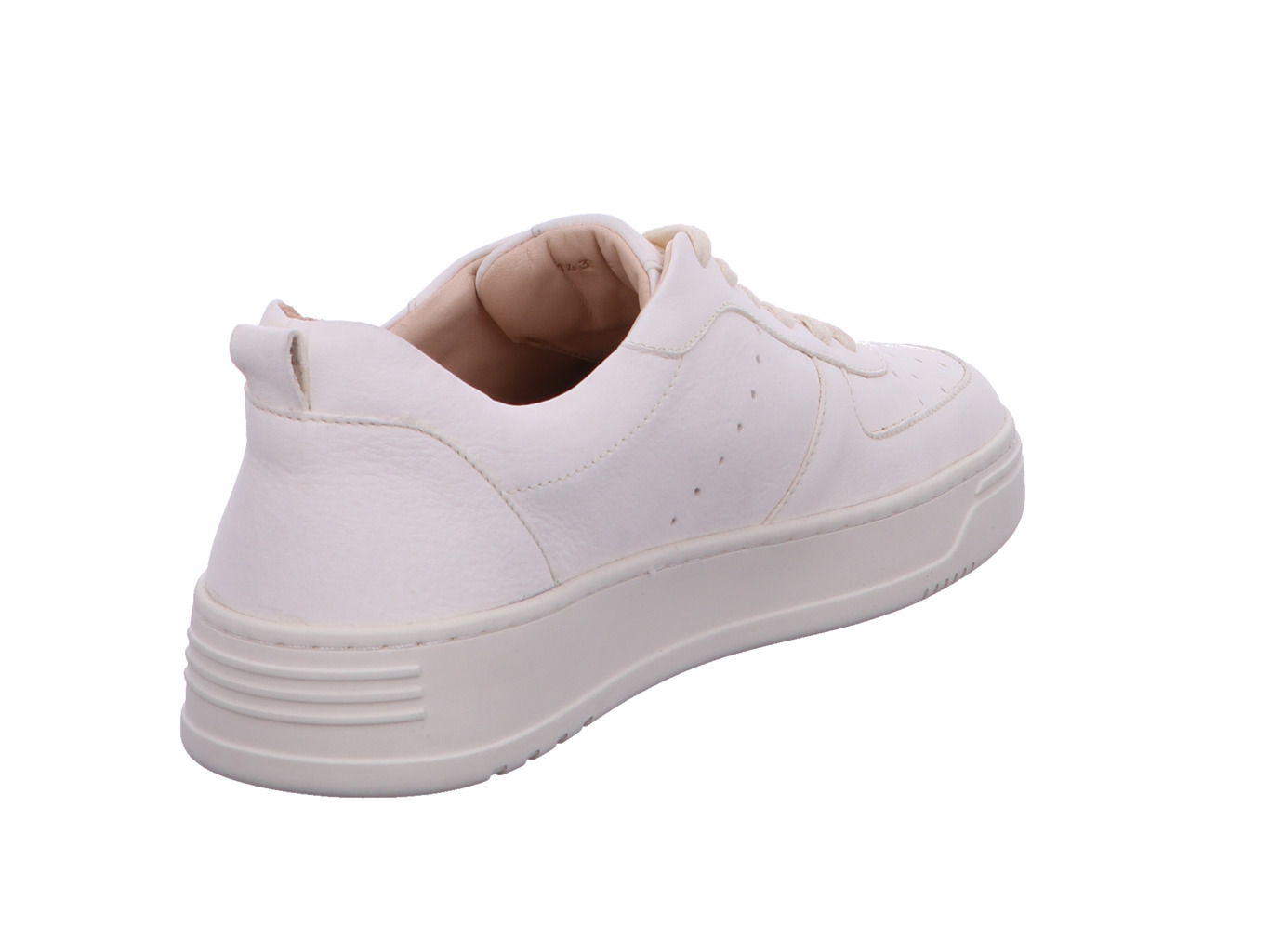 werner_habicht_143_51_2897