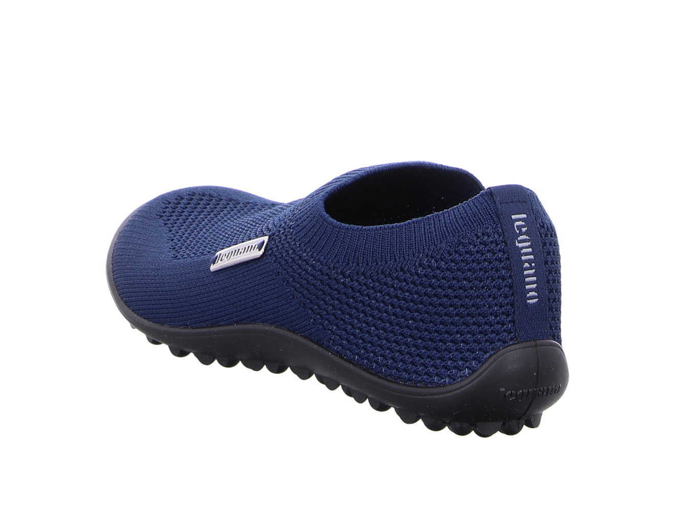 leguano_scio_scio_blue_5164