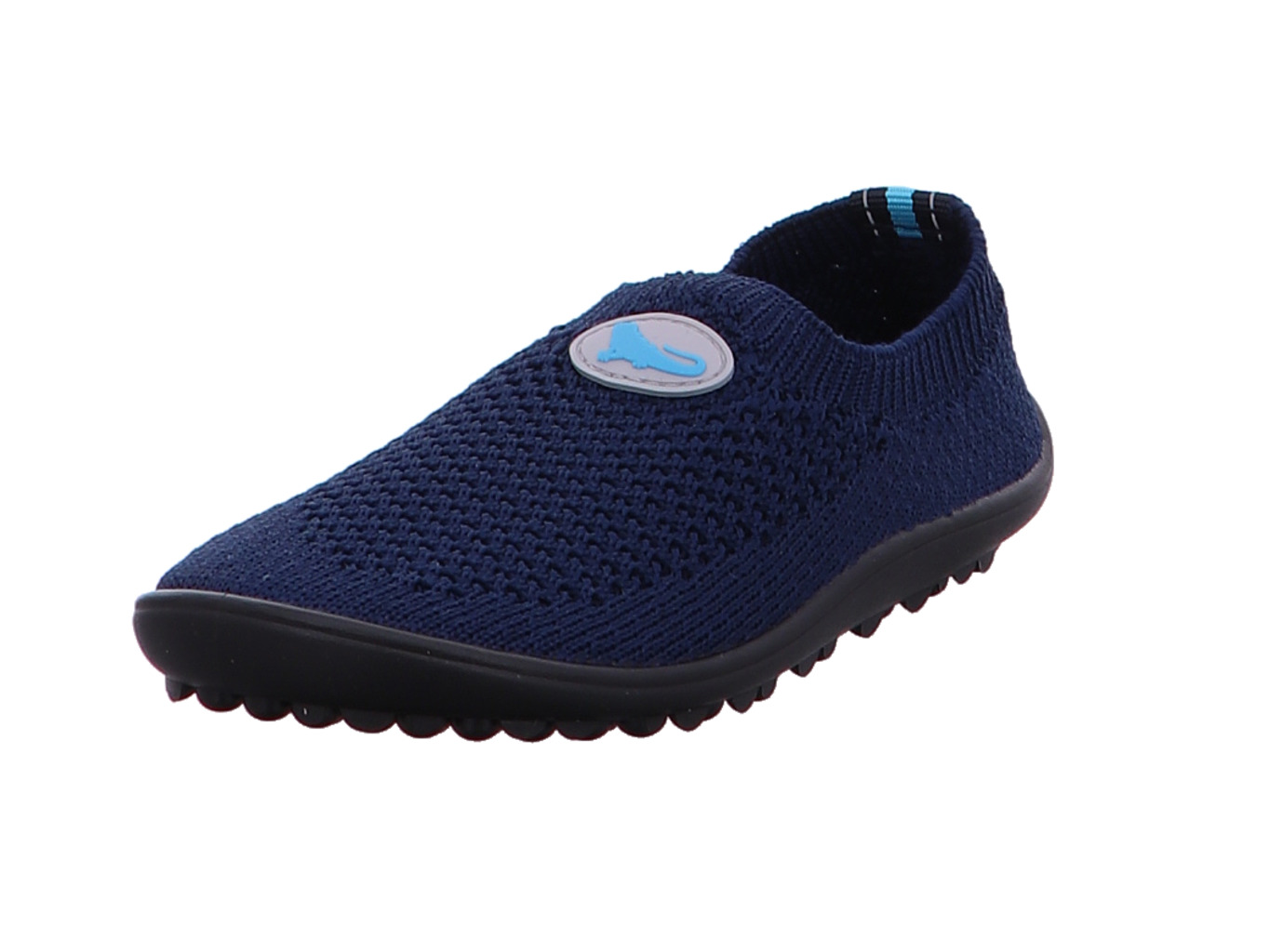 Leguano Leguanito Scio leguano_leguanito_scio_leguanito_scio_1136