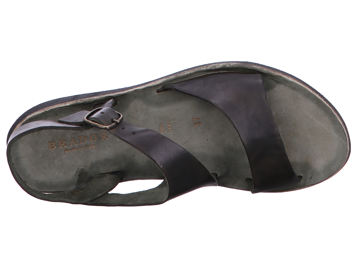 brador_sandy_34776_oliva_5165