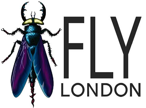 Fly London Schuhe online kaufen