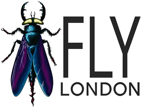 Fly London Fly London
