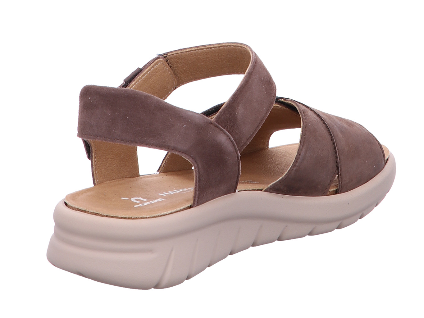 hartjes_calypso_1321801437777_437777_3173