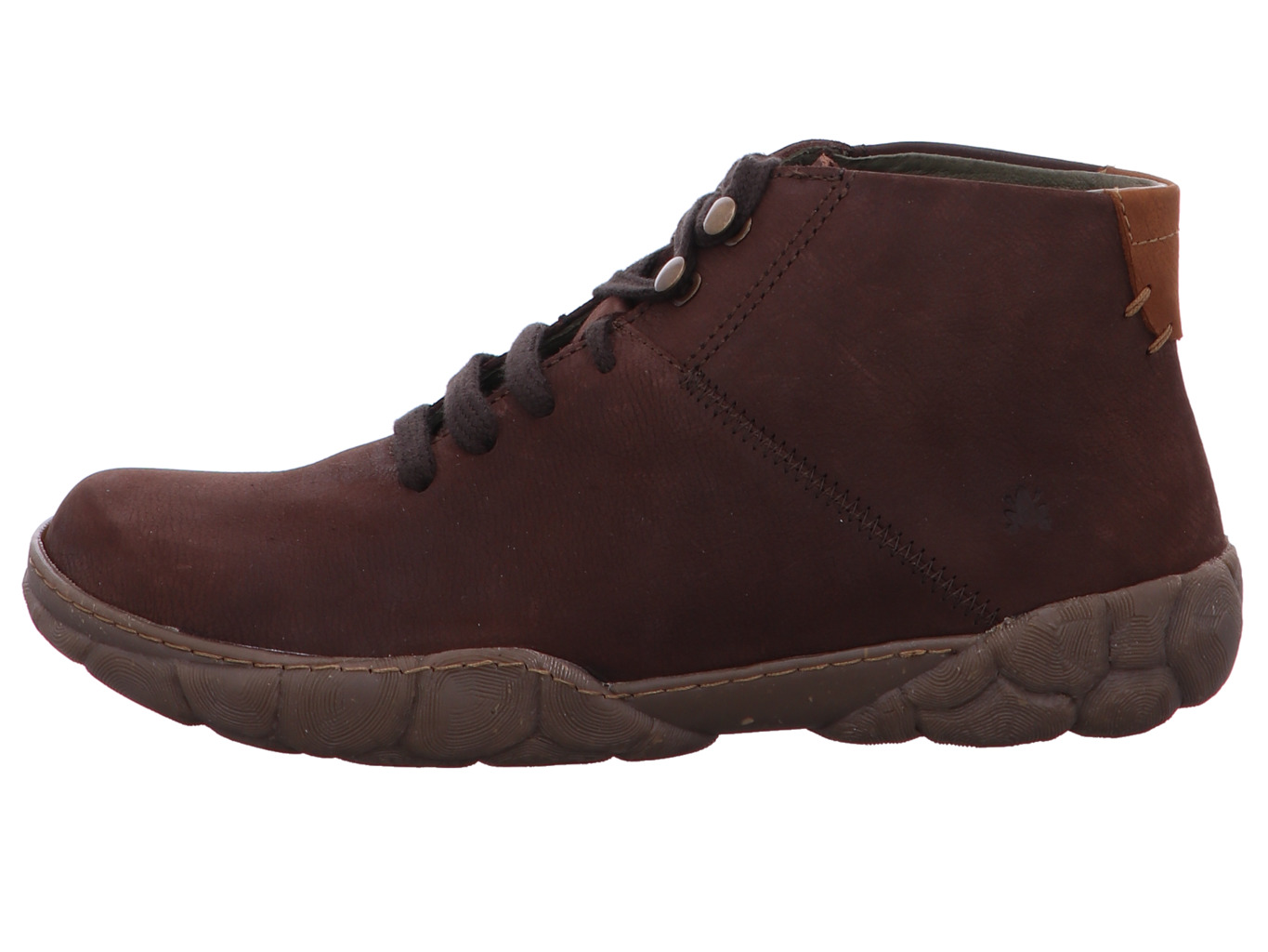 el_naturalista_turtle_n5083_pleasant_brown_3155