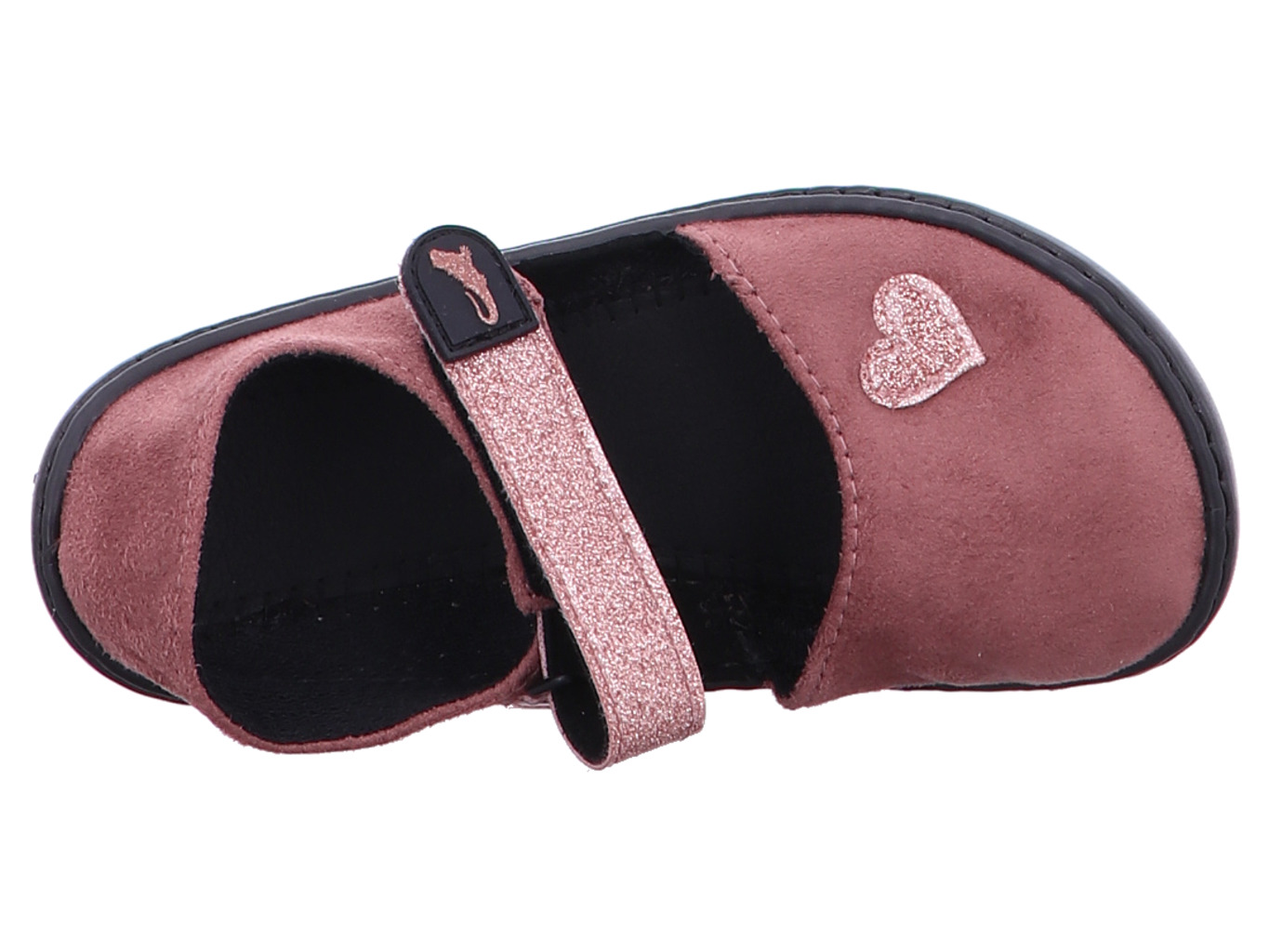 leguano_leguanito_jarina_leguanito_jarina_ros__5207