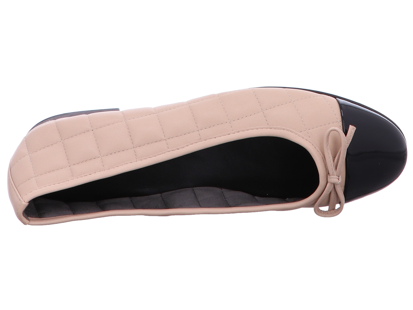 kennel_schmenger_joy_31_14500_225_7126