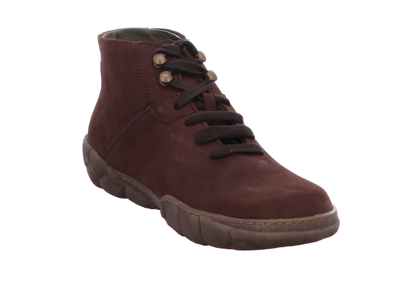 el_naturalista_turtle_n5083_pleasant_brown_6123