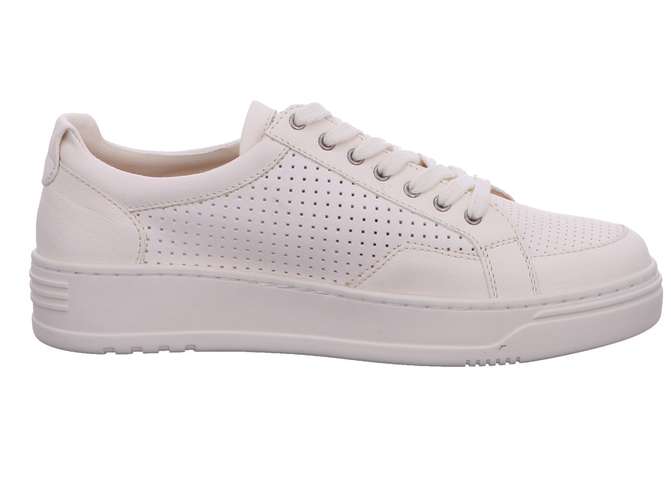 werner_amsel_785_51_4136