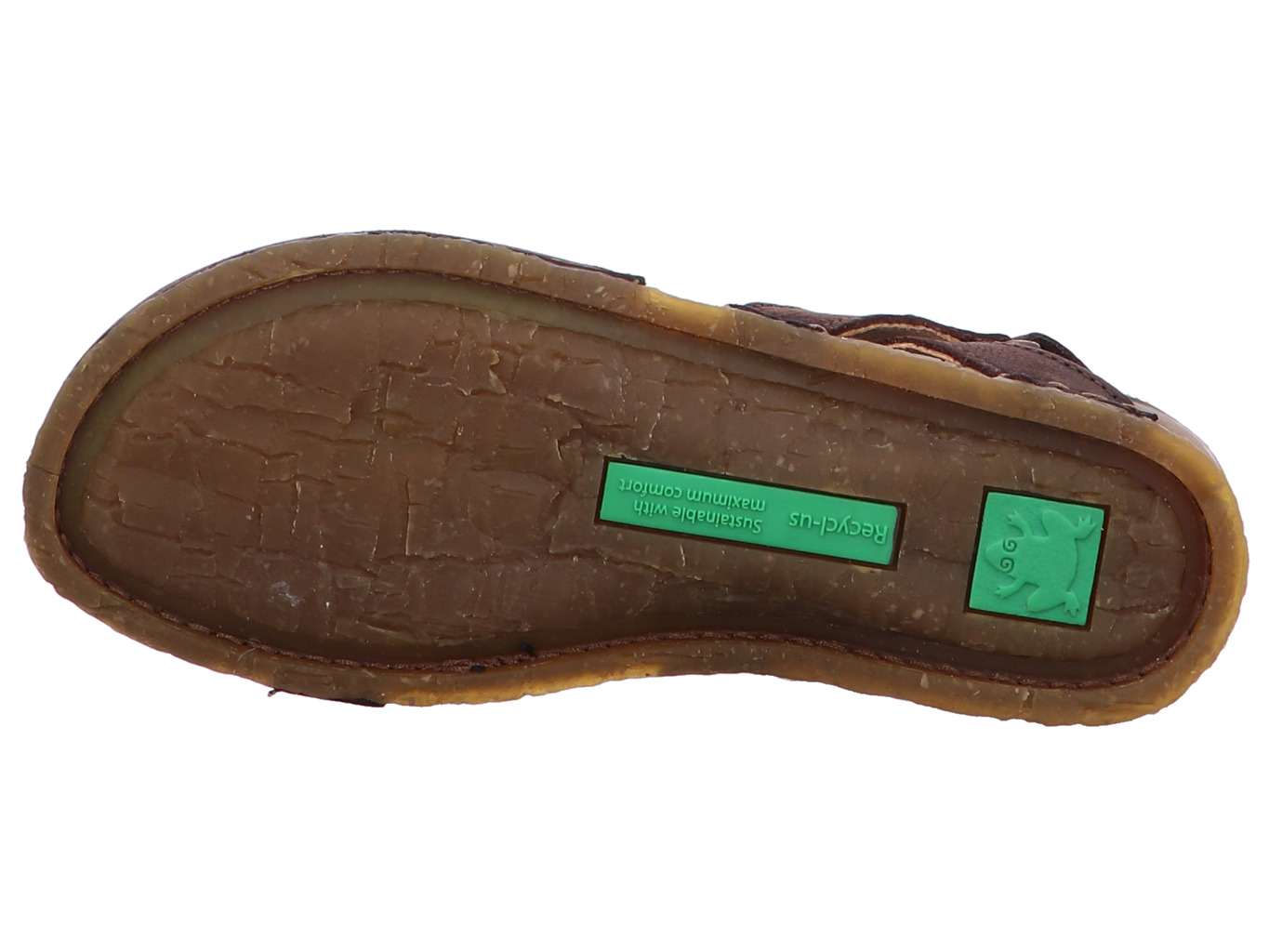 el_naturalista_panglao_n5813_brown_6170