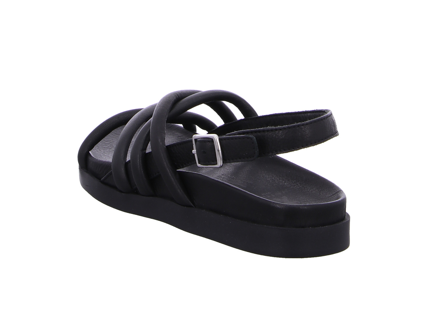 werner_liguster_638_04_schwarz_5100