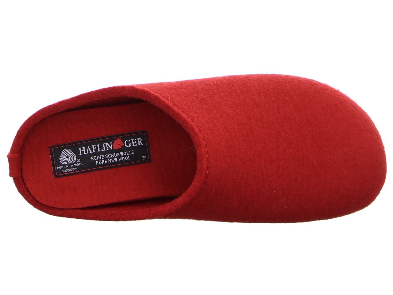 haflinger_everest_fundus_481024_11_7184