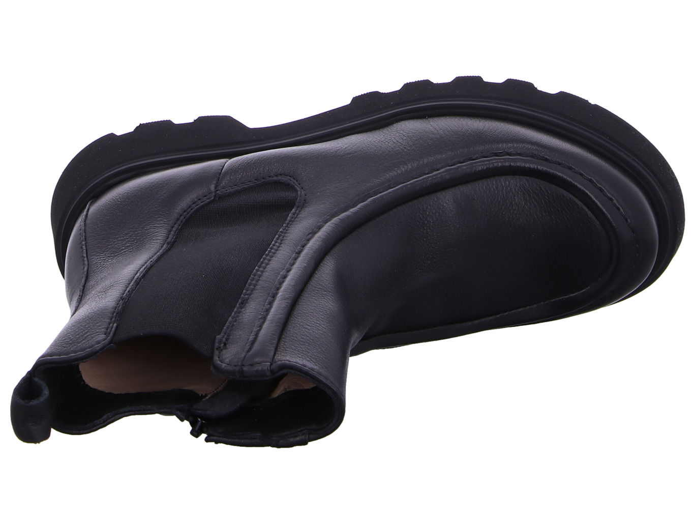 werner_ginsterkatze_614_50_7184