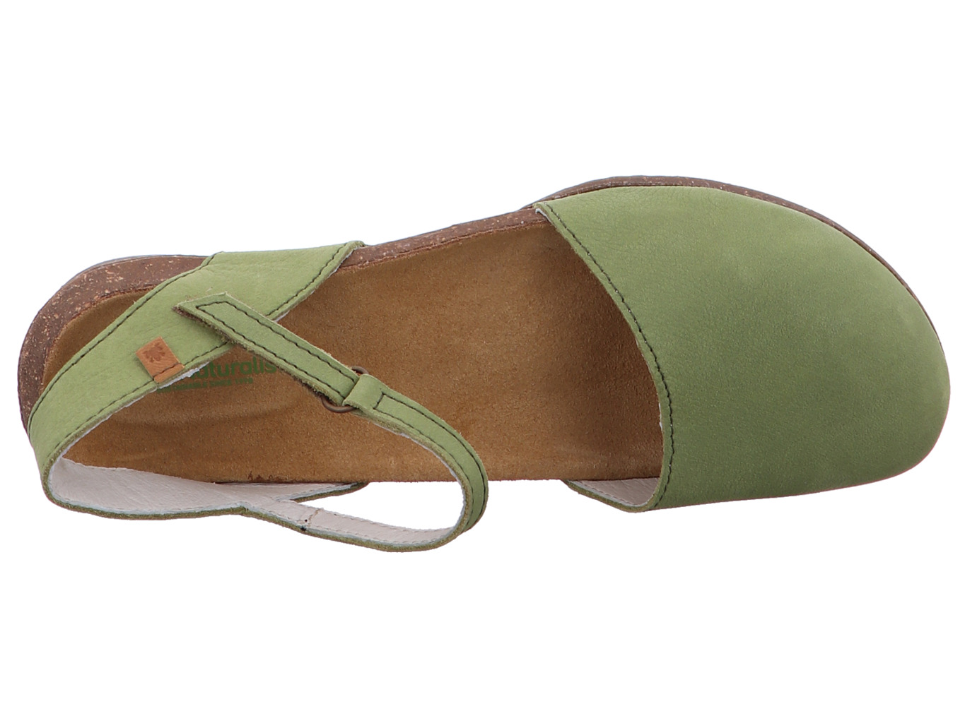 el_naturalista_wakataua_n412_liken_5197