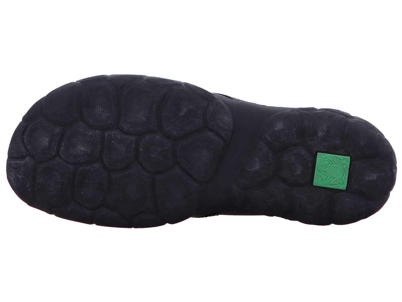 el_naturalista_turtle_5618_black_6158