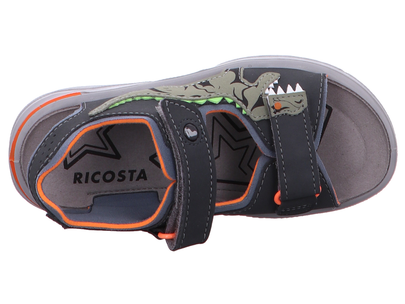 ricosta_raptor_50_6701600_490_490_7216