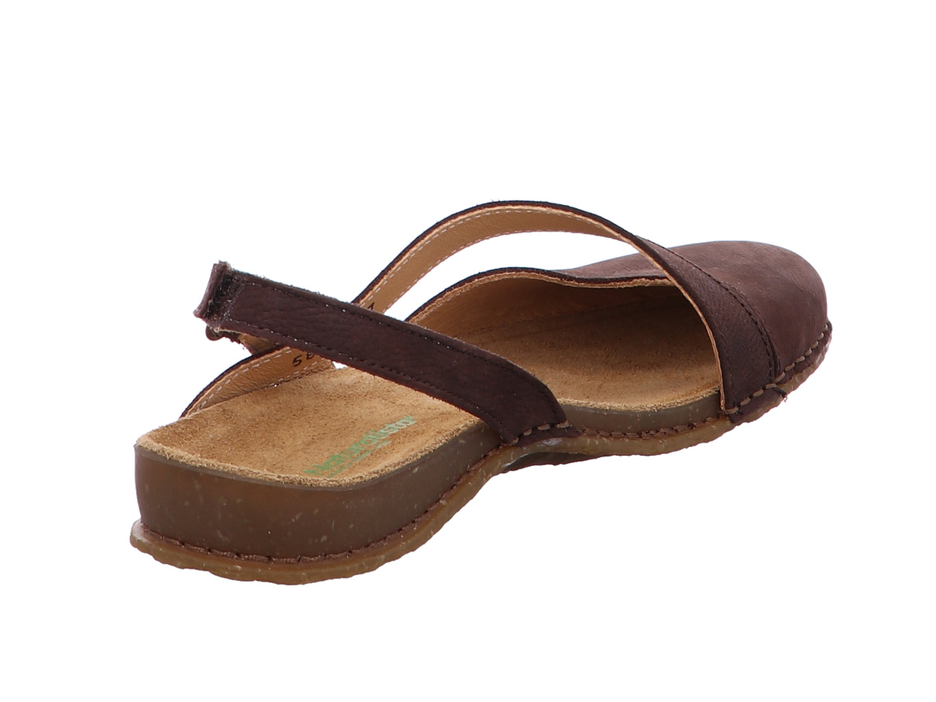 el_naturalista_panglao_n5813_brown_3140