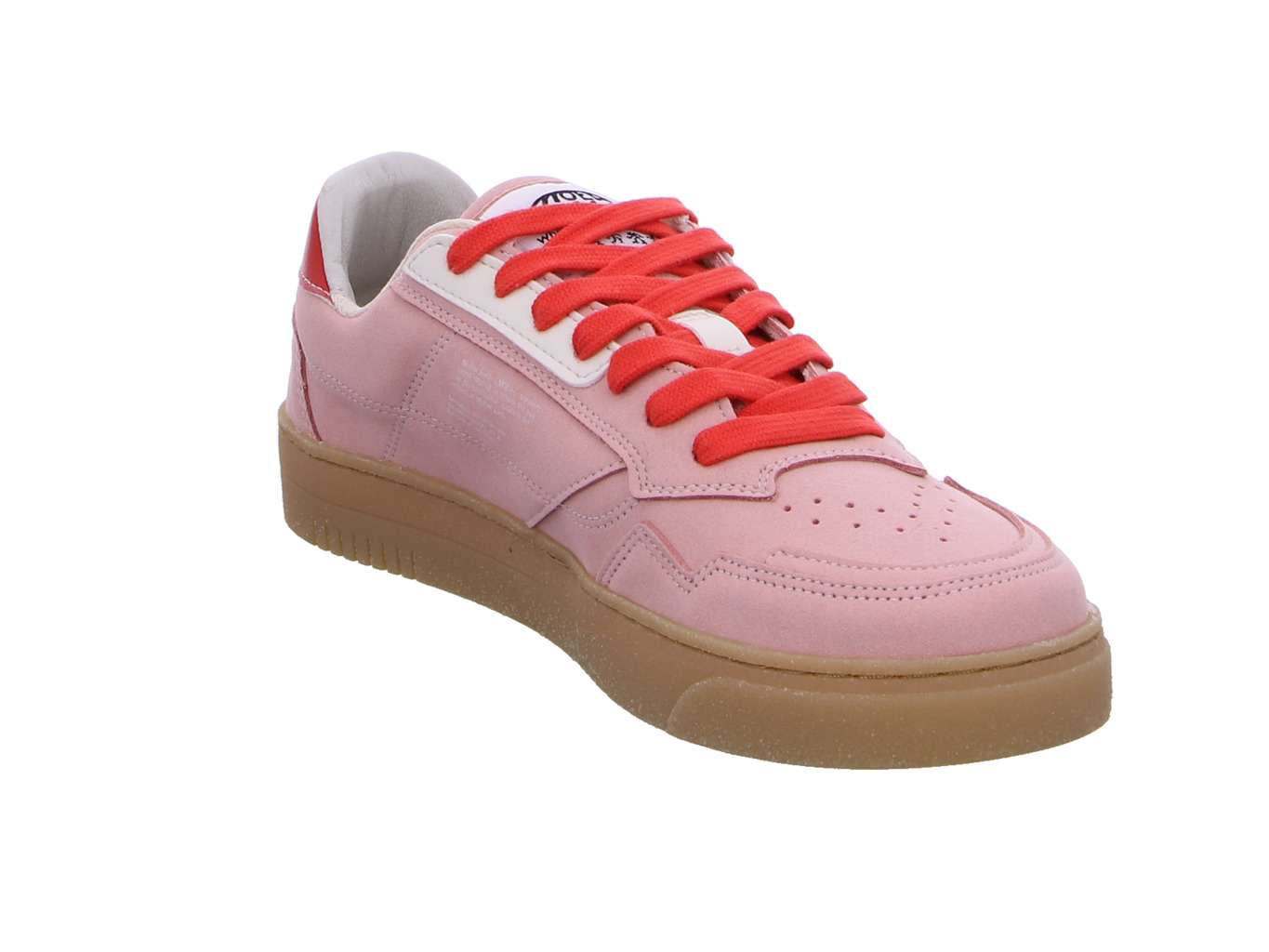 moea_origin_low_moea_bas009_11_6144