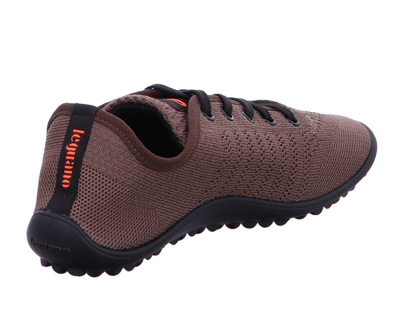 leguano_go_go_maron_3224