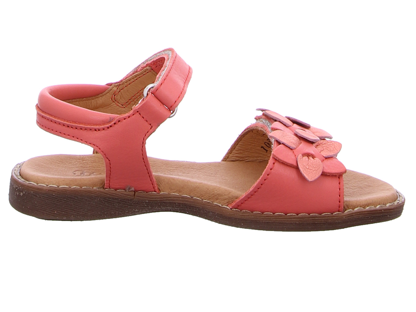 froddo_lorine_flowers_g3150251_48_4163