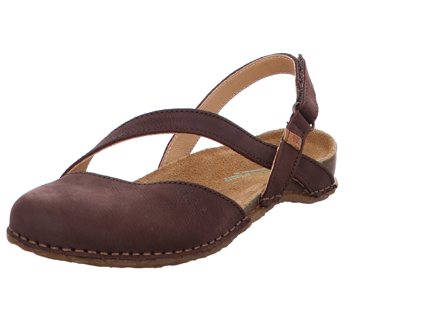 el_naturalista_panglao_n5813_brown_1158